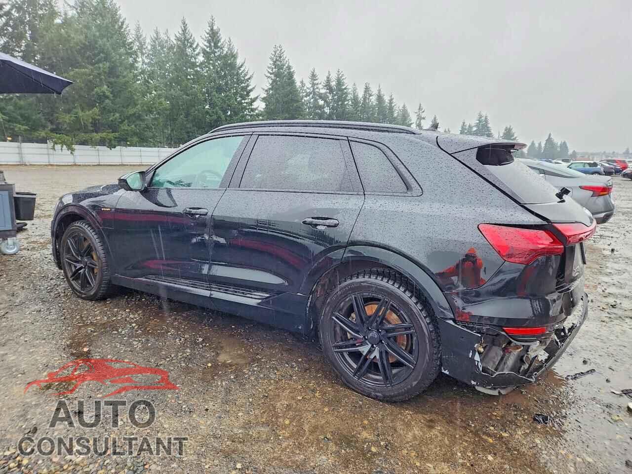 AUDI E-TRON 2021 - WA1AAAGEXMB021371