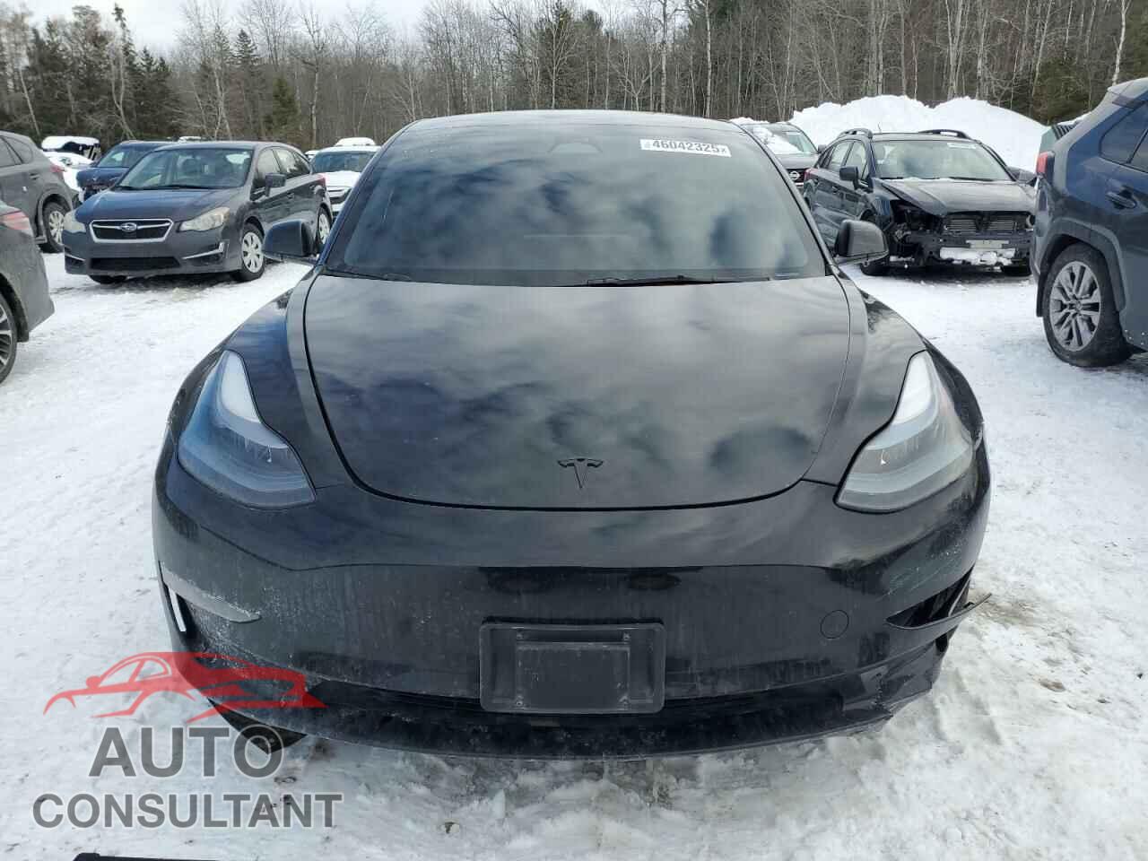 TESLA MODEL 3 2023 - LRW3E1FA7PC899644