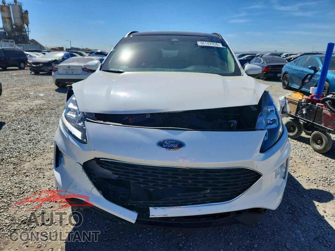 FORD ESCAPE 2020 - 1FMCU0DZ3LUA39622