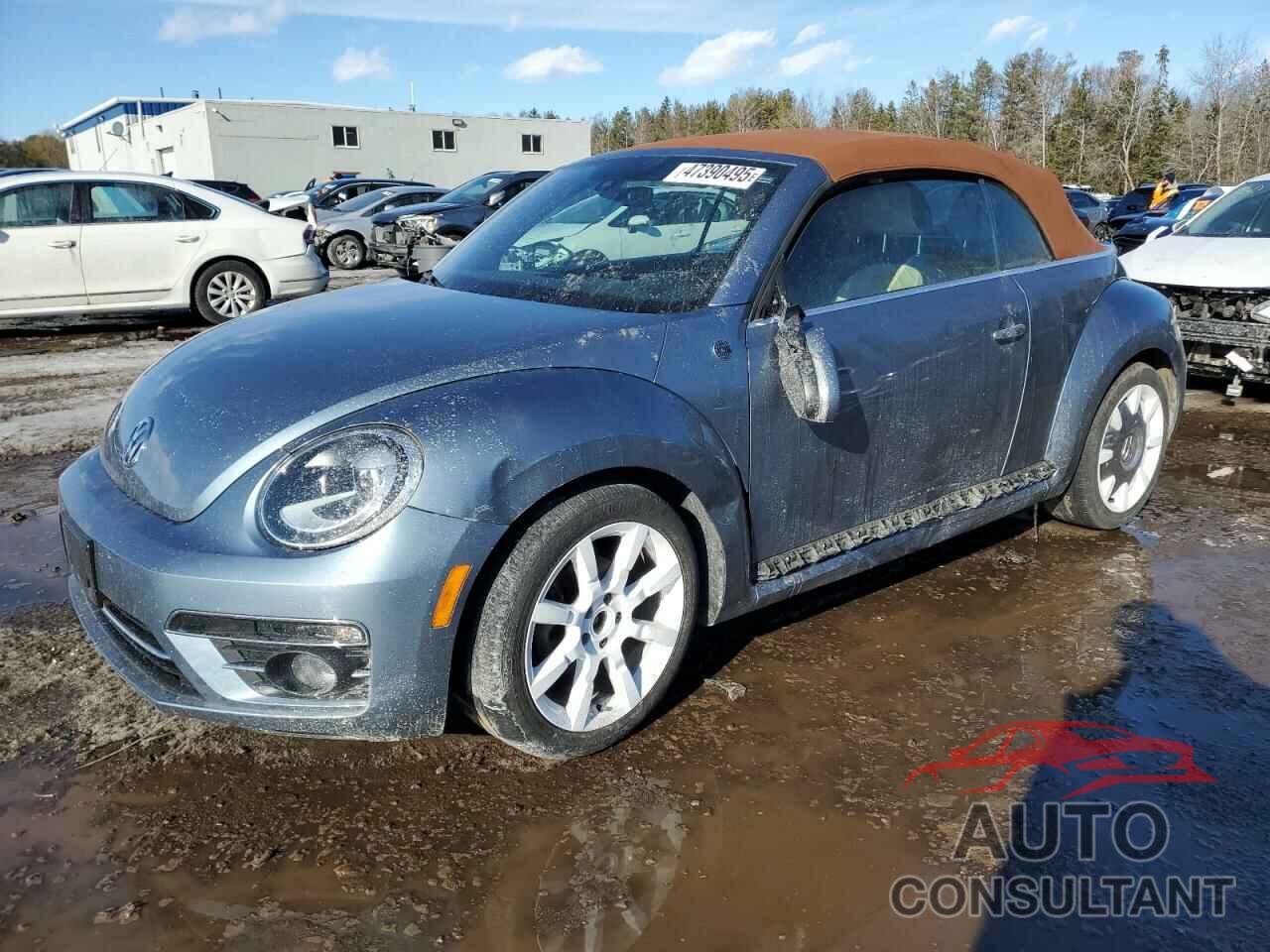 VOLKSWAGEN BEETLE 2019 - 3VW5DAAT1KM505843