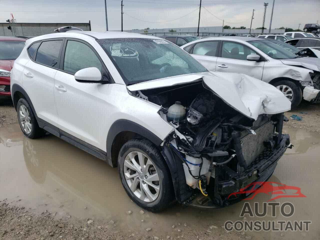 HYUNDAI TUCSON 2019 - KM8J2CA47KU971361