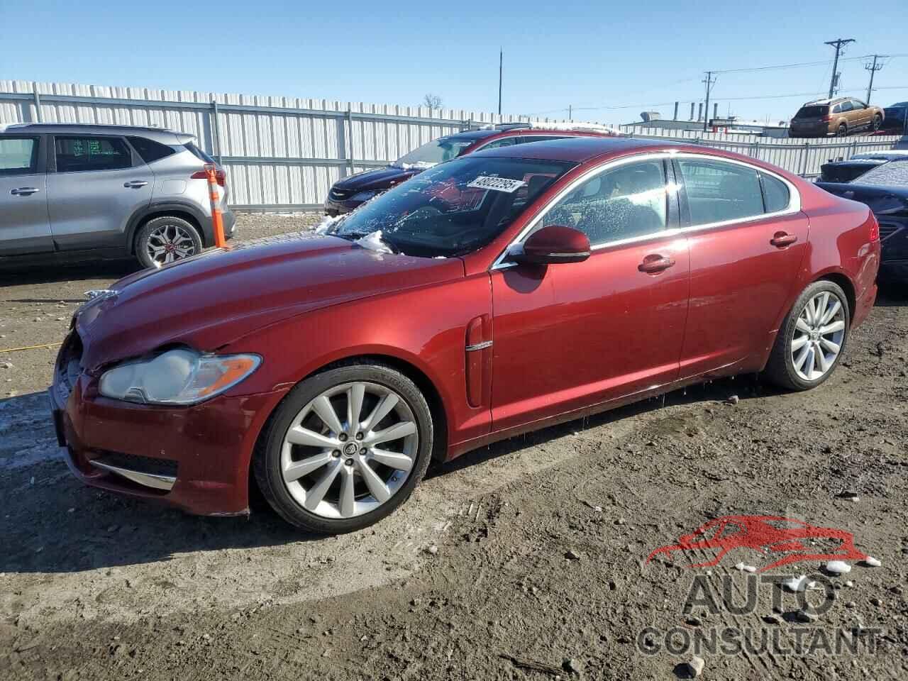 JAGUAR XF 2010 - SAJWA0GB8ALR76981