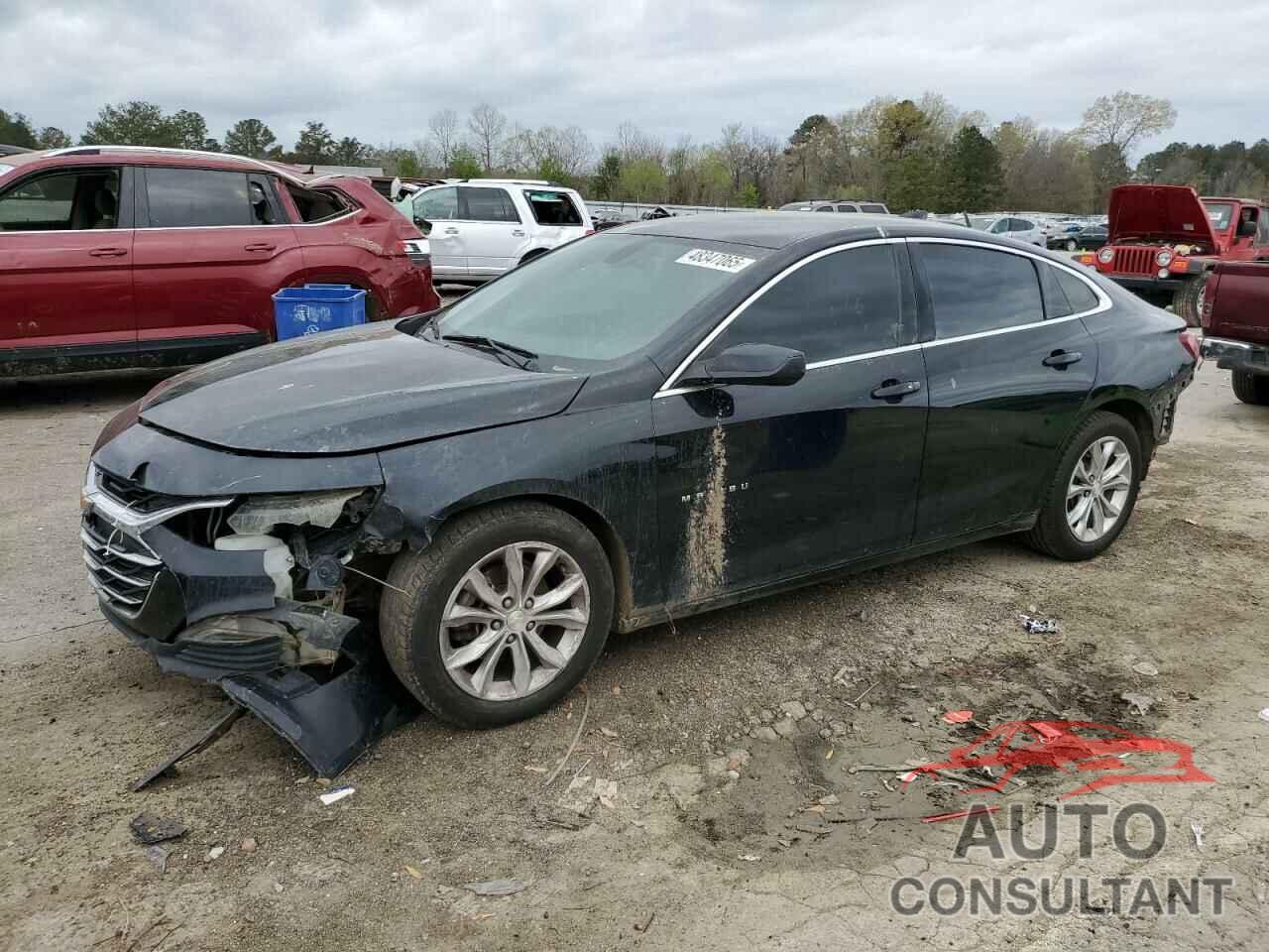 CHEVROLET MALIBU 2019 - 1G1ZD5ST6KF166113