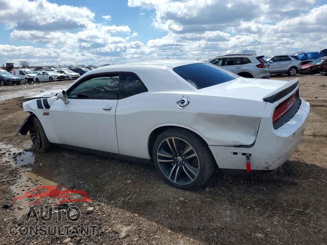 DODGE CHALLENGER 2014 - 2C3CDYDJXEH153981
