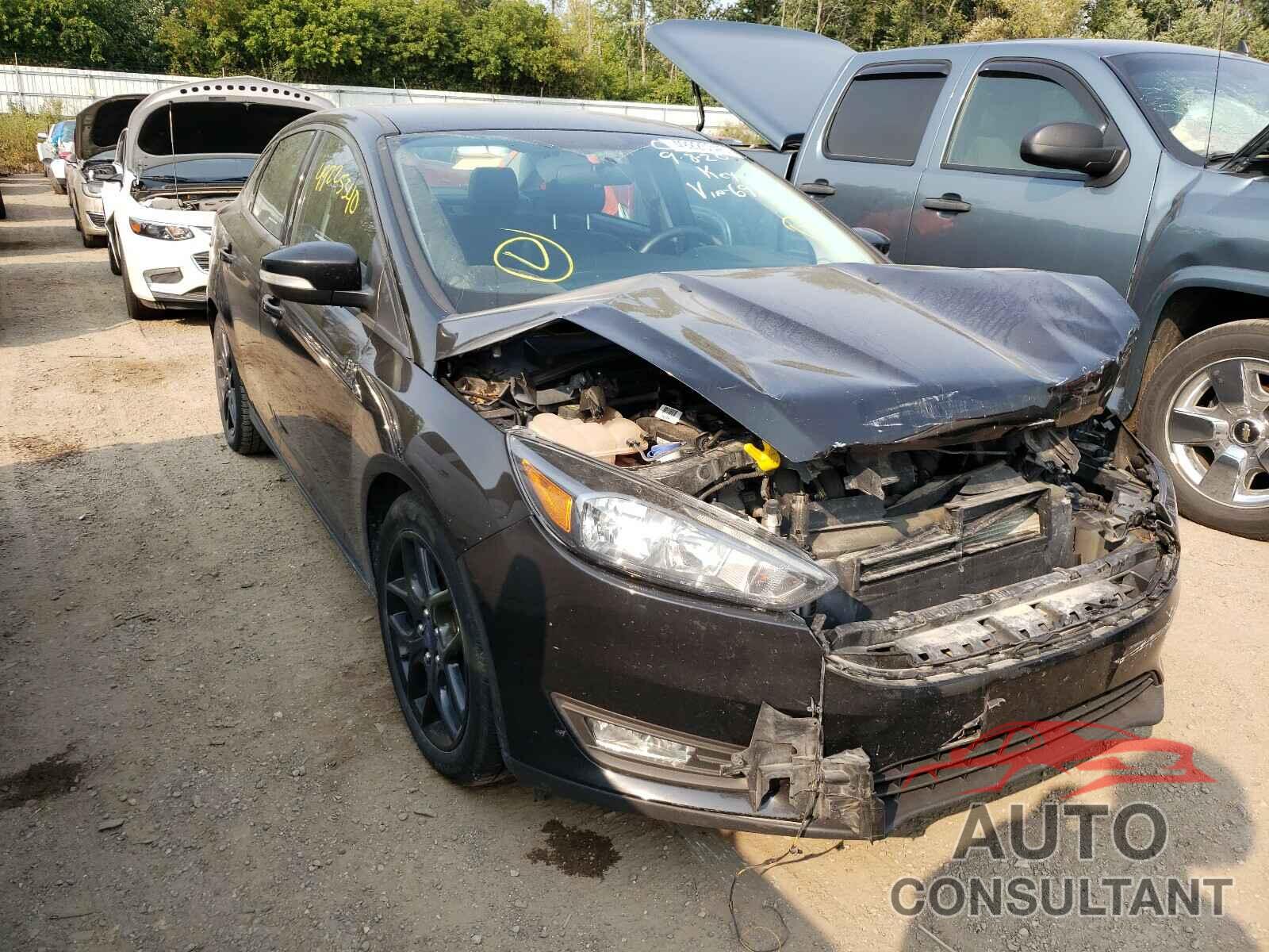 FORD FOCUS 2016 - 1FADP3F21GL386921