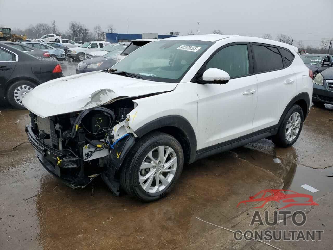 HYUNDAI TUCSON 2019 - KM8J2CA43KU858555