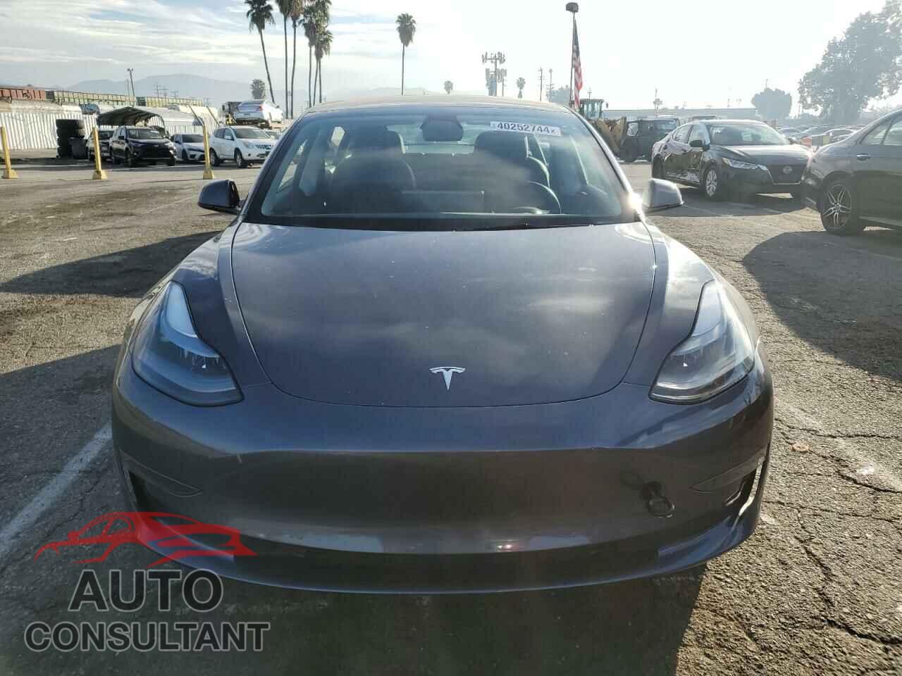 TESLA MODEL 3 2021 - 5YJ3E1EA1MF096587