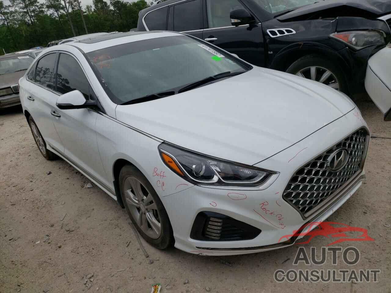 HYUNDAI SONATA 2019 - 5NPE34AF1KH817586