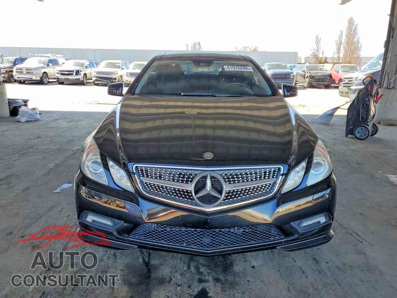 MERCEDES-BENZ E-CLASS 2010 - WDDKJ7CB2AF044341