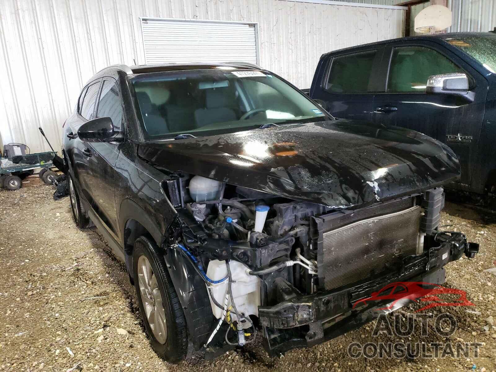 HYUNDAI TUCSON 2017 - KM8J33A45HU468966