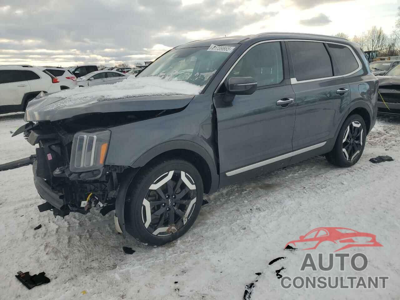 KIA TELLURIDE 2023 - 5XYP6DGC4PG349784