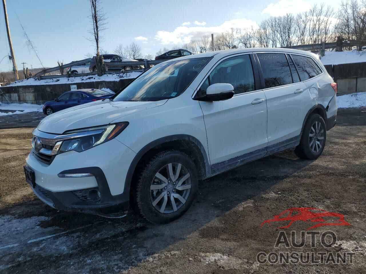 HONDA PILOT 2019 - 5FNYF6H51KB084242