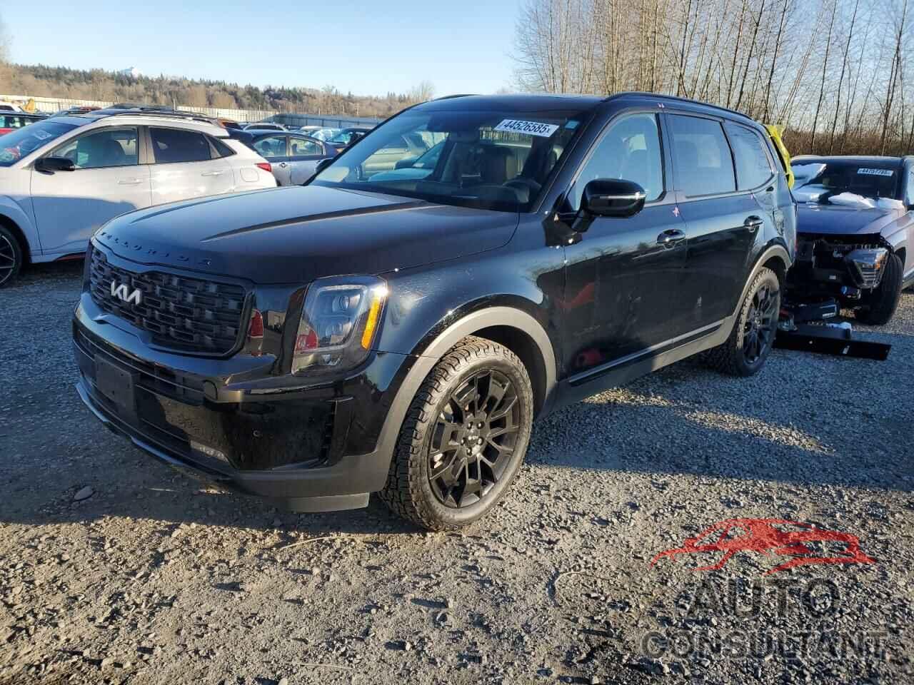 KIA TELLURIDE 2022 - 5XYP5DHC7NG307821