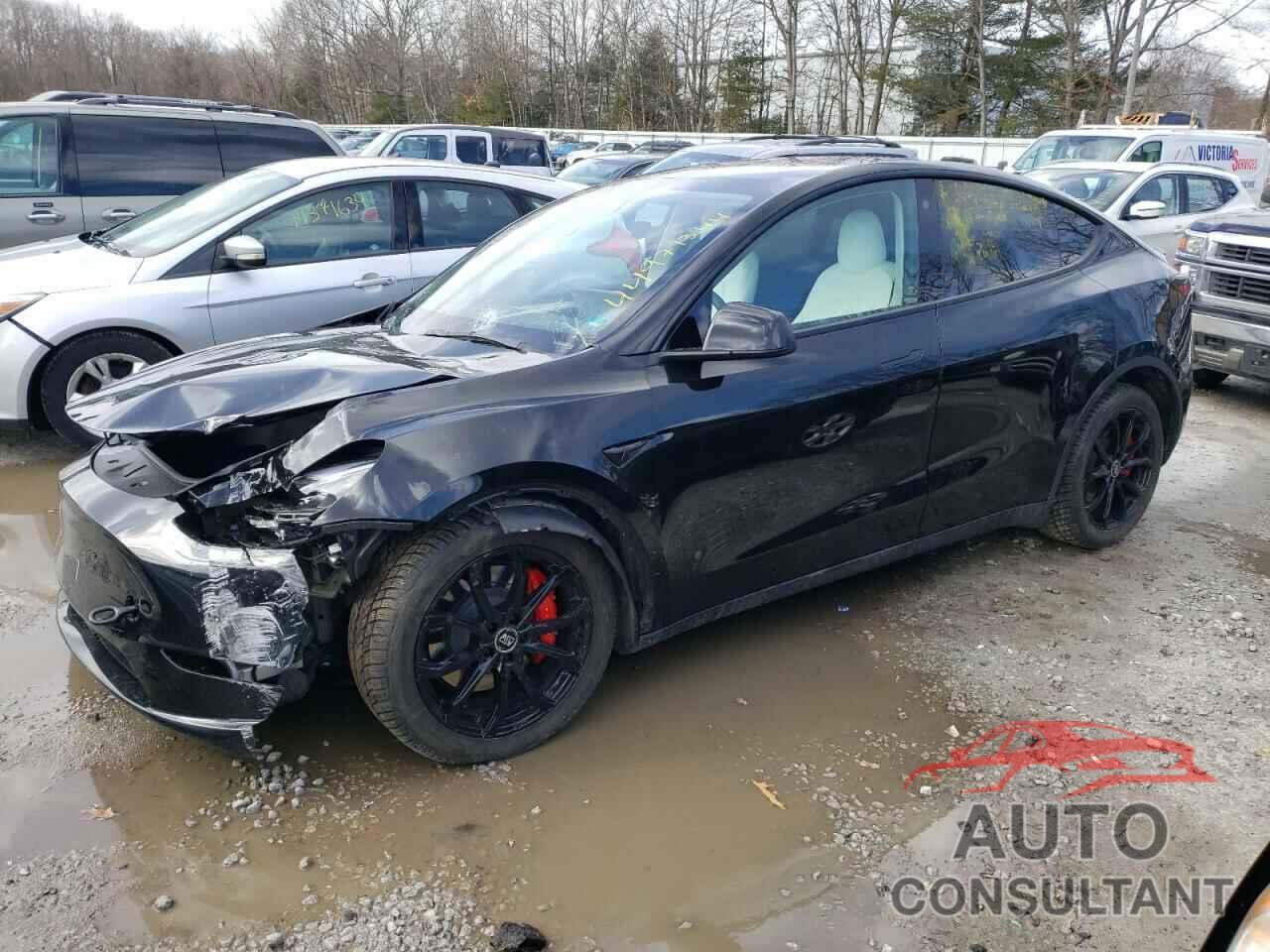 TESLA MODEL Y 2023 - 7SAYGDEF6PF611328