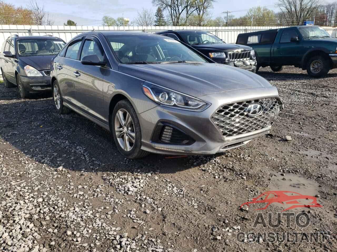 HYUNDAI SONATA 2019 - 5NPE34AF5KH813637