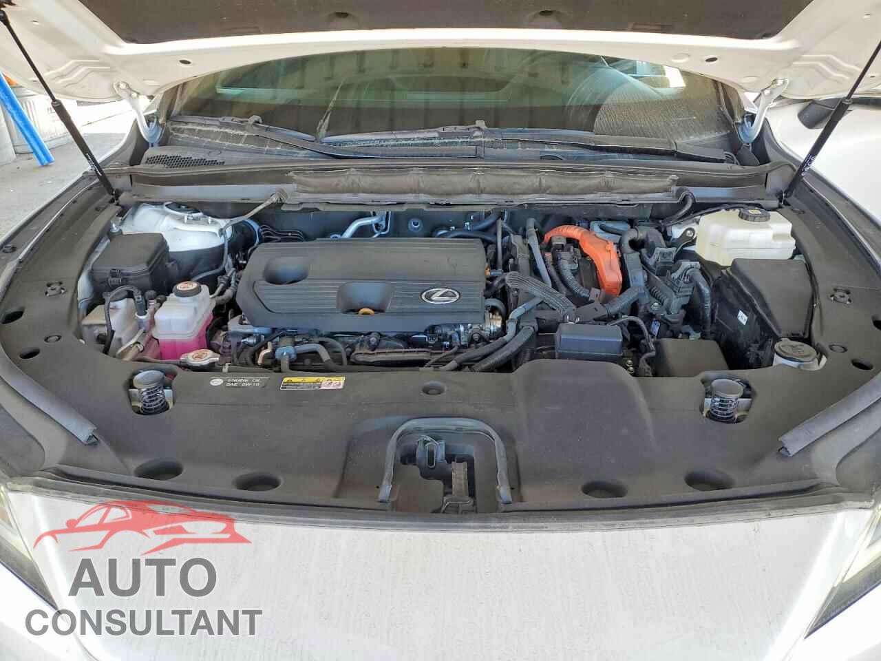 LEXUS UNKNOWN 2023 - 2T2BBMCA9PC012481