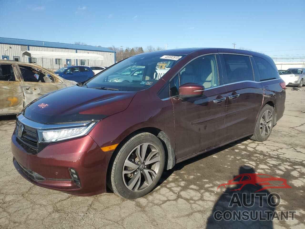 HONDA ODYSSEY 2021 - 5FNRL6H83MB019497