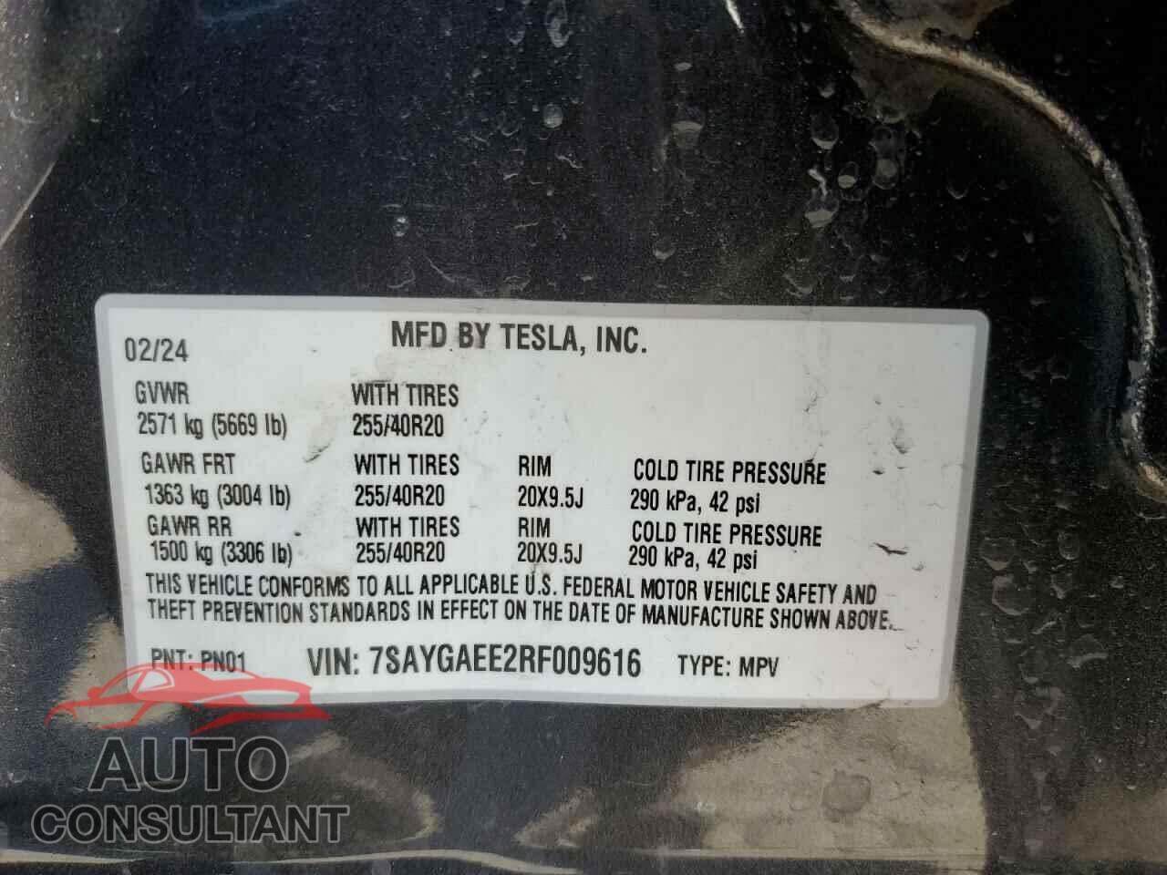 TESLA MODEL Y 2024 - 7SAYGAEE2RF009616