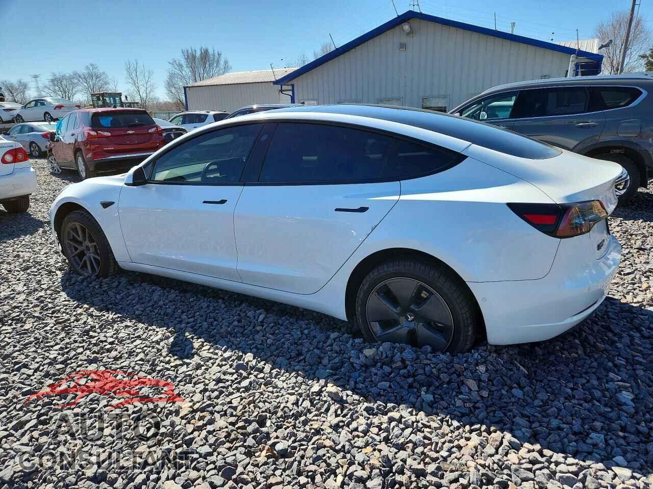 TESLA MODEL 3 2021 - 5YJ3E1EA8MF083593