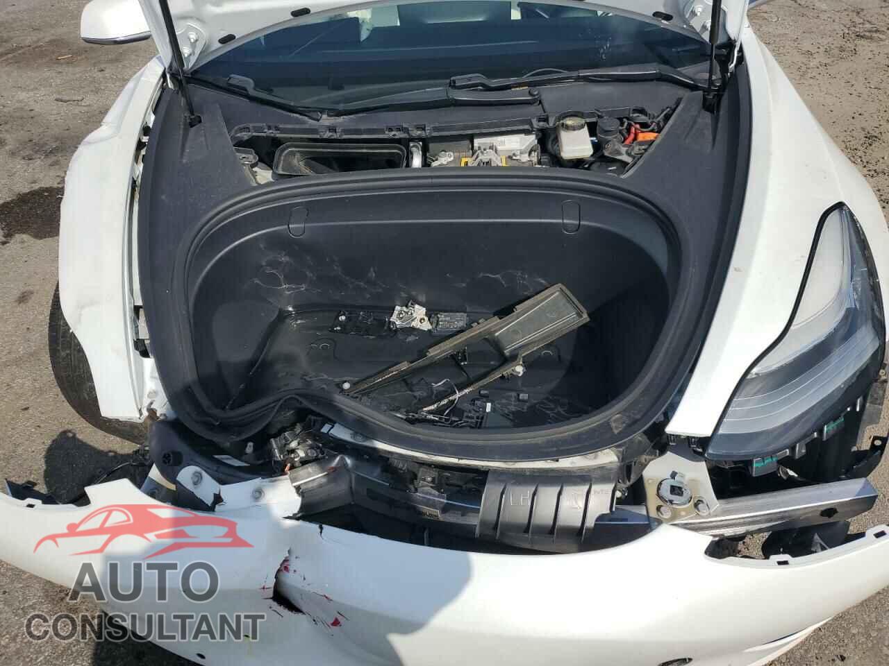 TESLA MODEL 3 2019 - 5YJ3E1EB4KF421559