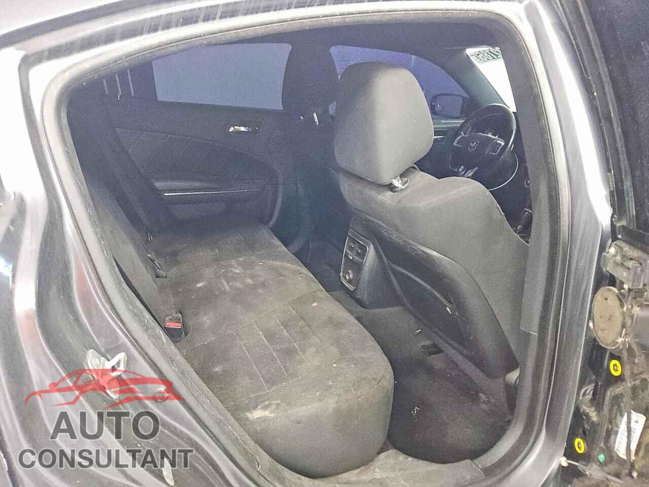 DODGE CHARGER 2014 - 2C3CDXCTXEH146929