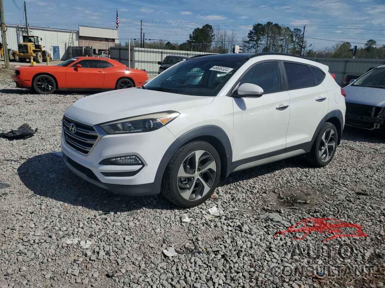 HYUNDAI TUCSON 2017 - KM8J33A25HU376531