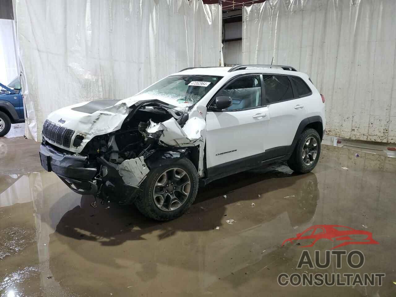 JEEP CHEROKEE 2019 - 1C4PJMBX5KD192928