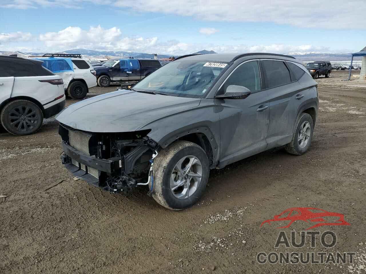 HYUNDAI TUCSON 2024 - 5NMJBCDE4RH325141