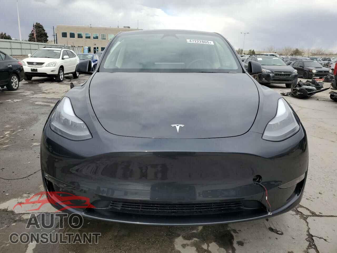 TESLA MODEL Y 2025 - 7SAYGDEE5SF236418