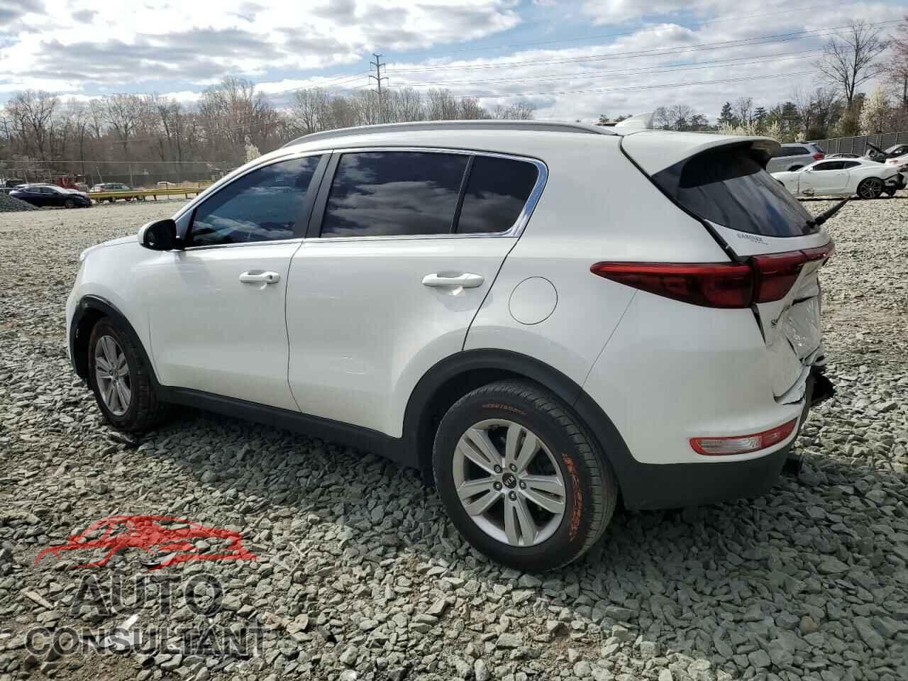 KIA SPORTAGE 2017 - KNDPM3AC2H7299765