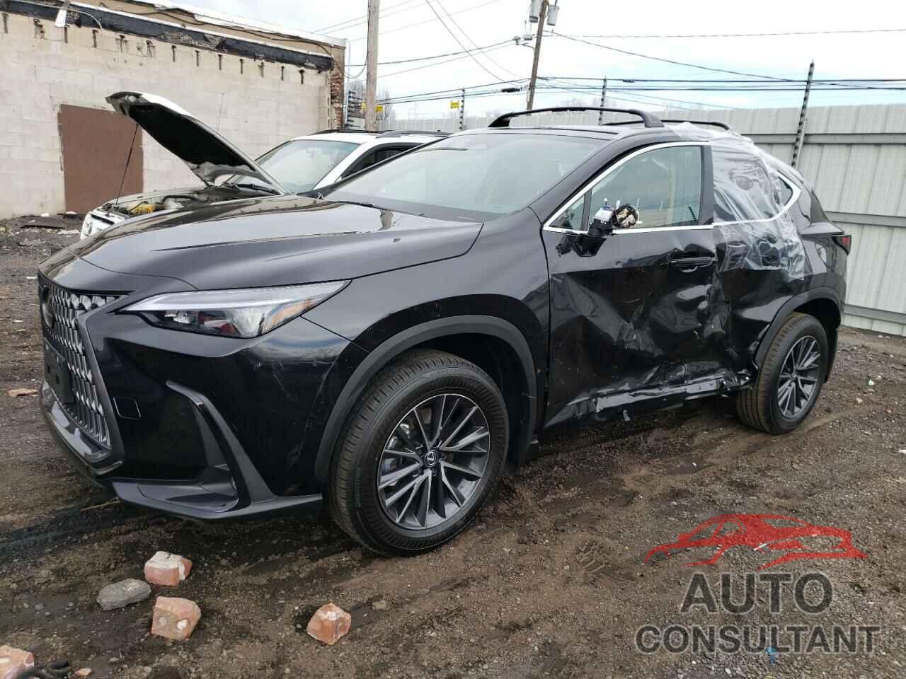 LEXUS NX 350 BAS 2024 - 2T2AGCEZXRC056938