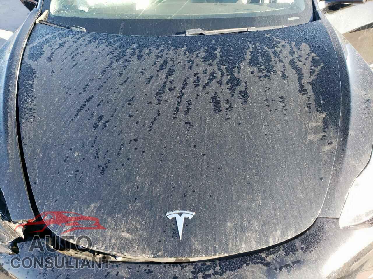 TESLA MODEL 3 2021 - 5YJ3E1EA2MF977007