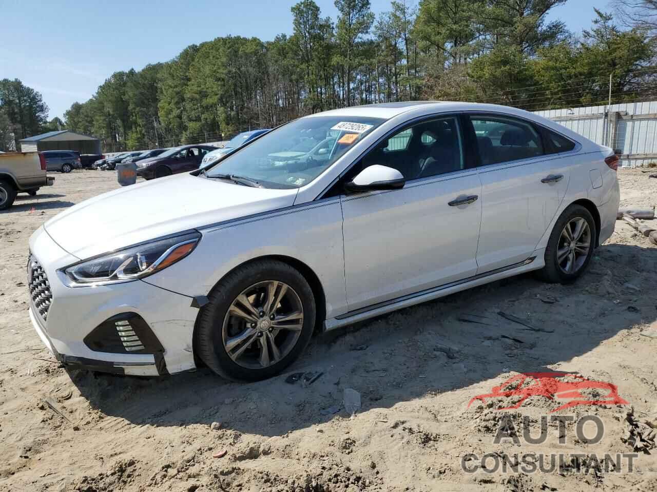 HYUNDAI SONATA 2019 - 5NPE34AF2KH740856