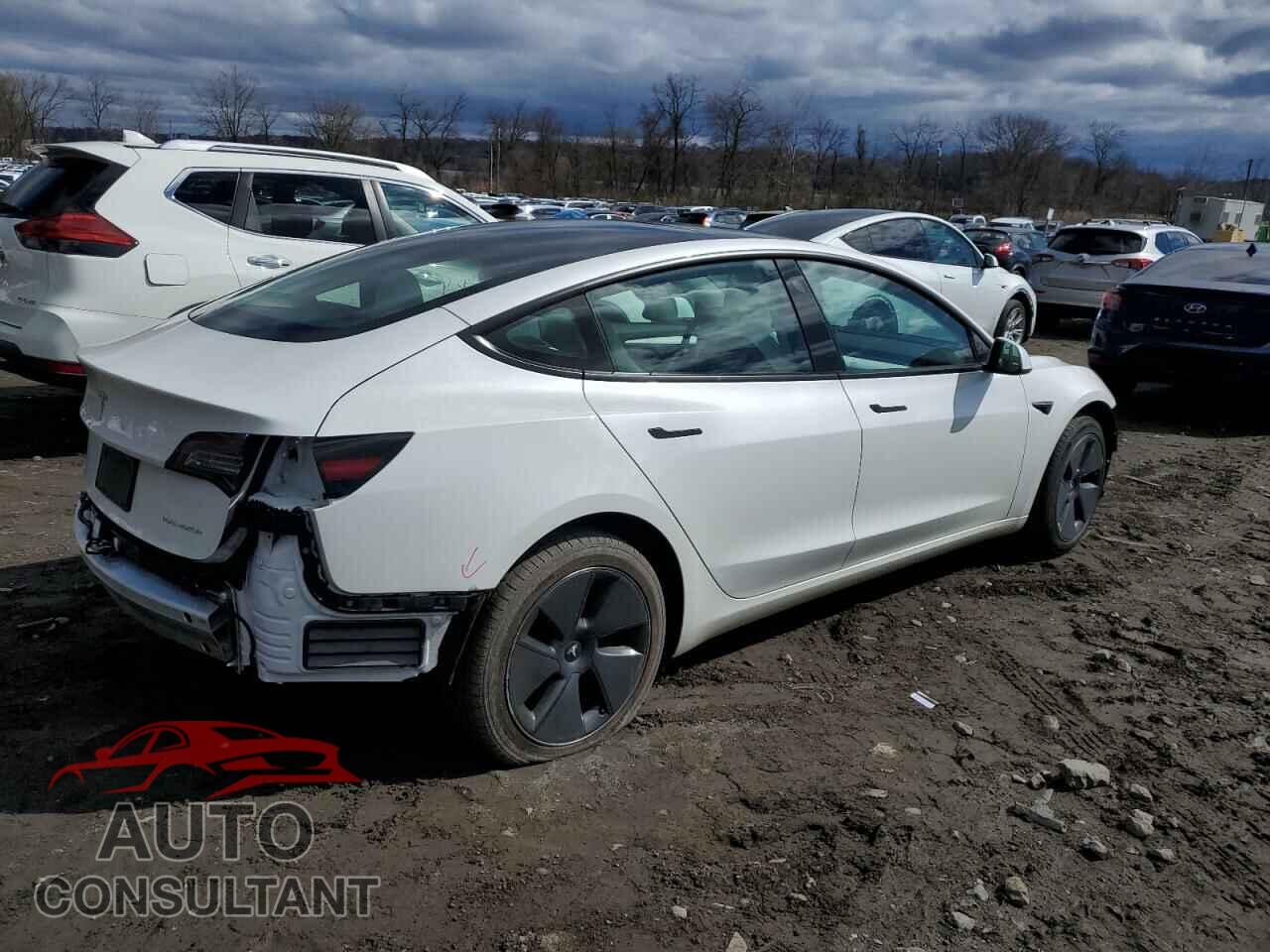 TESLA MODEL 3 2021 - 5YJ3E1EB8MF034225