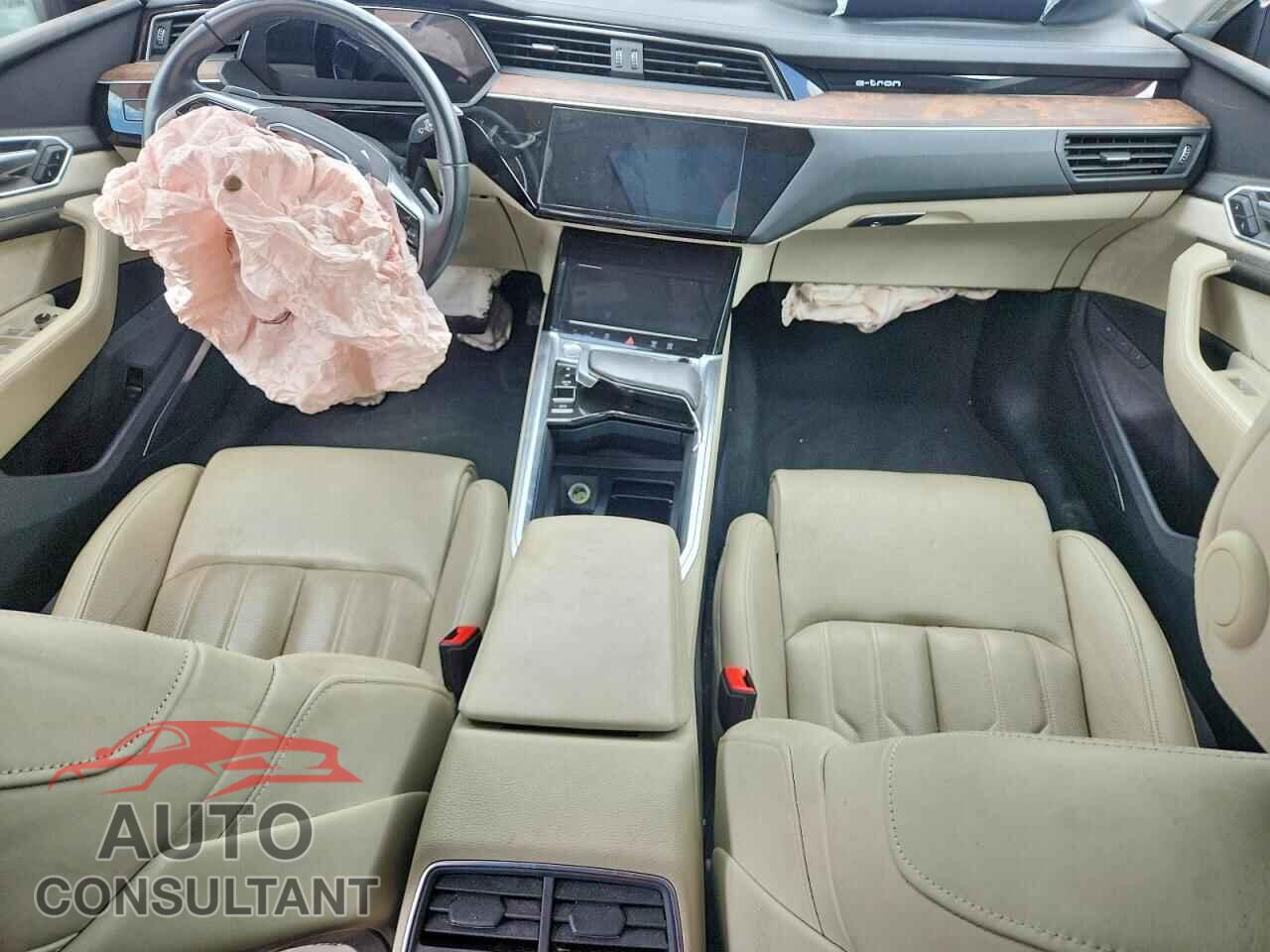 AUDI E-TRON 2019 - WA1VAAGE0KB021815