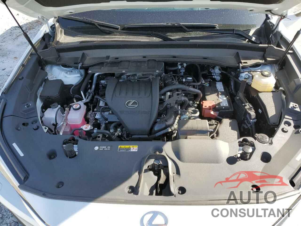 LEXUS TX 350 BAS 2024 - 5TDAAAA65RS009975