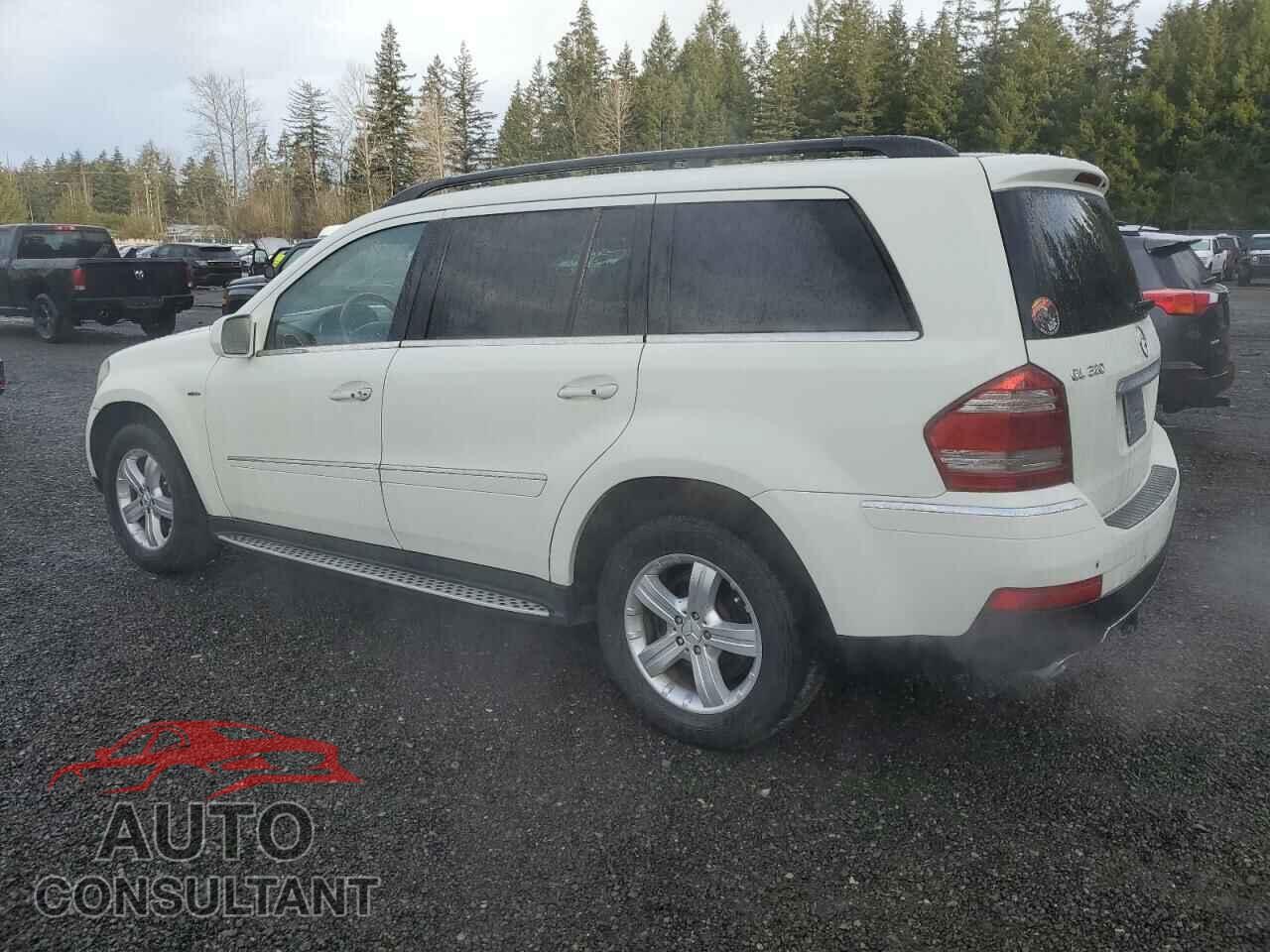 MERCEDES-BENZ GL-CLASS 2009 - 4JGBF25E29A477605