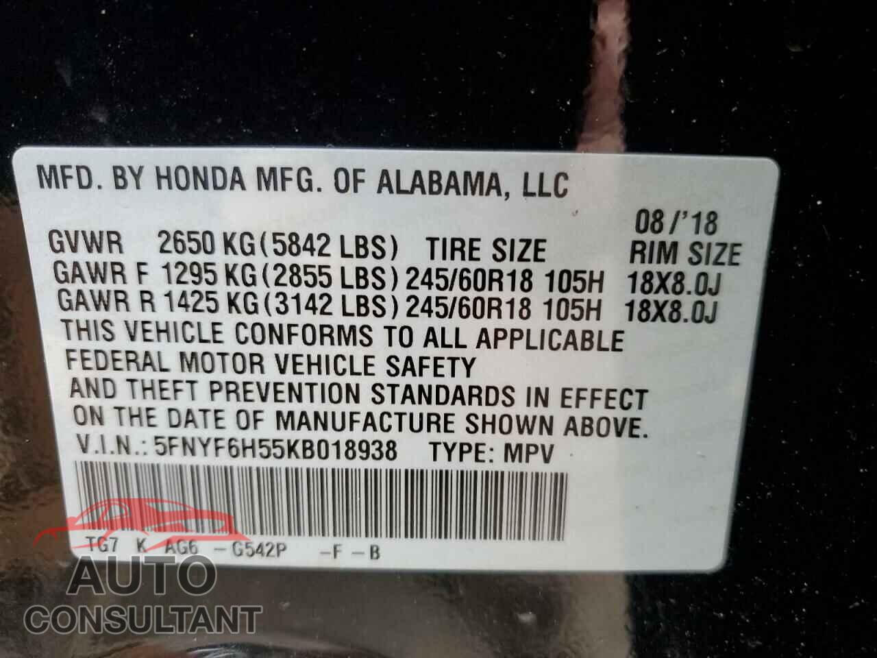 HONDA PILOT 2019 - 5FNYF6H55KB018938