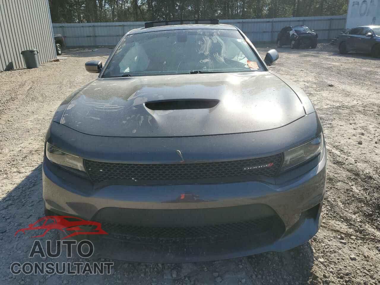 DODGE CHARGER 2019 - 2C3CDXCT2KH522972