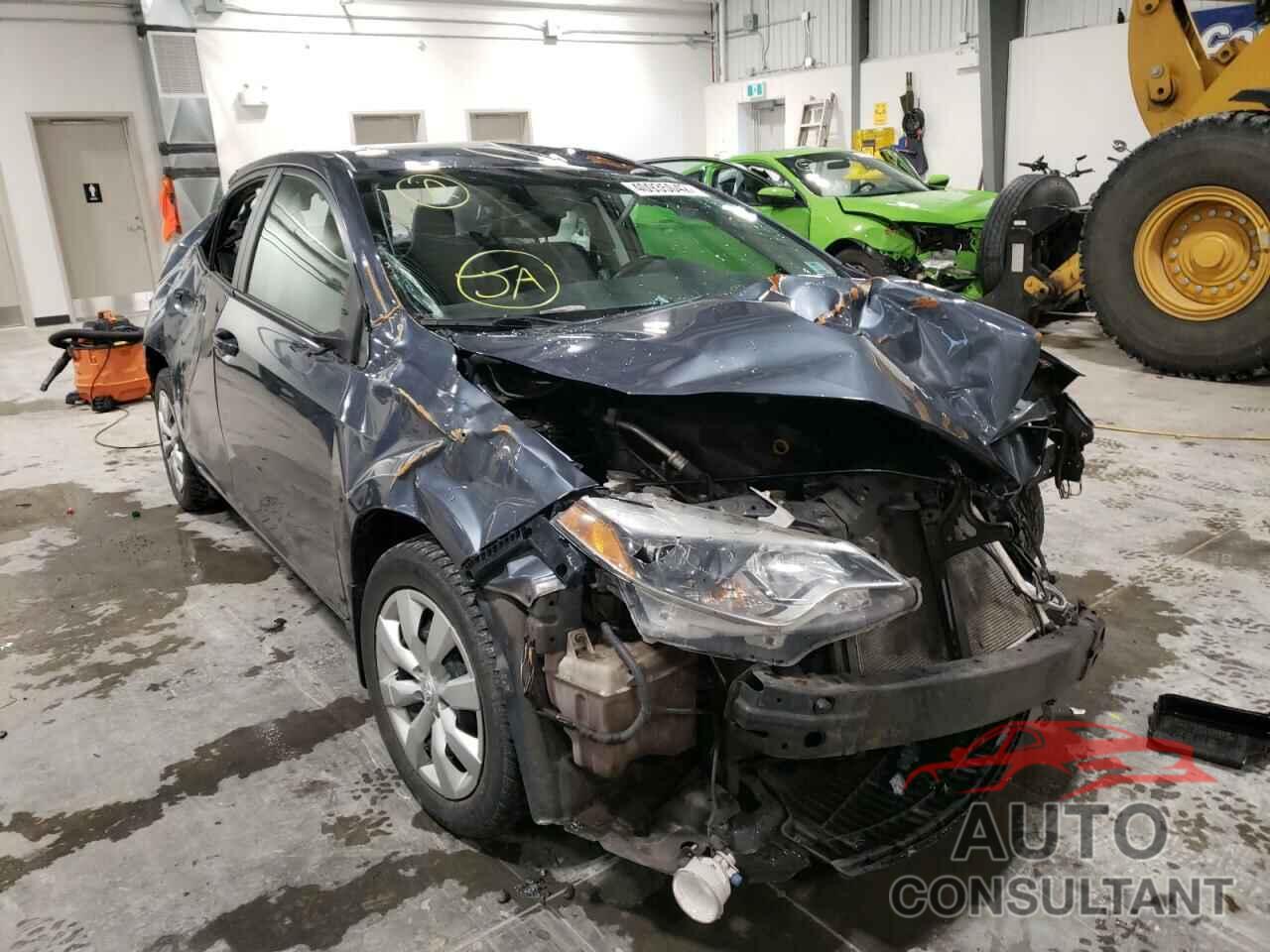 TOYOTA COROLLA 2016 - 2T1BURHE5GC492204