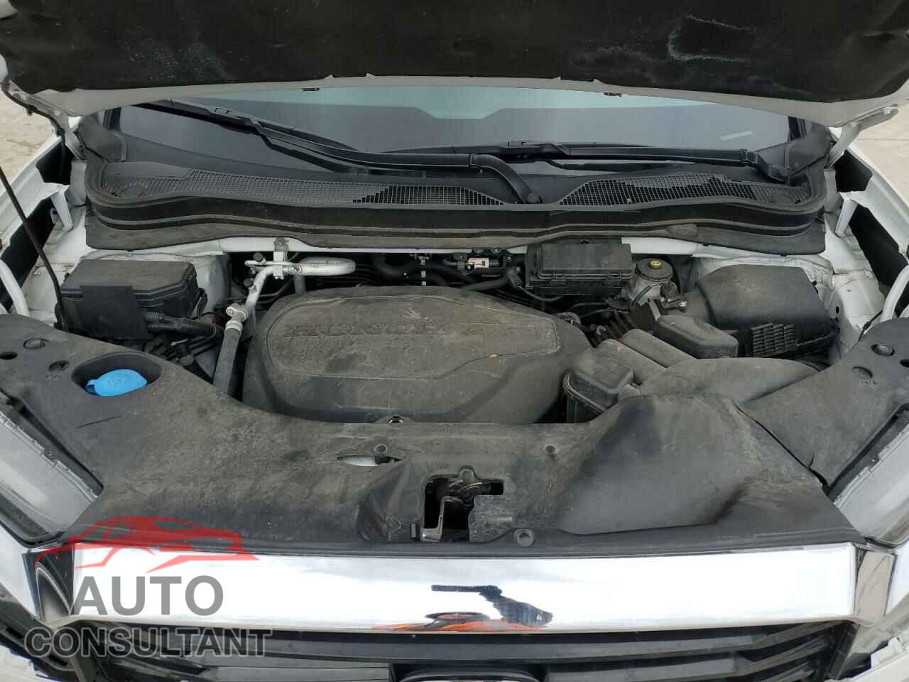 HONDA RIDGELINE 2021 - 5FPYK3F78MB006579