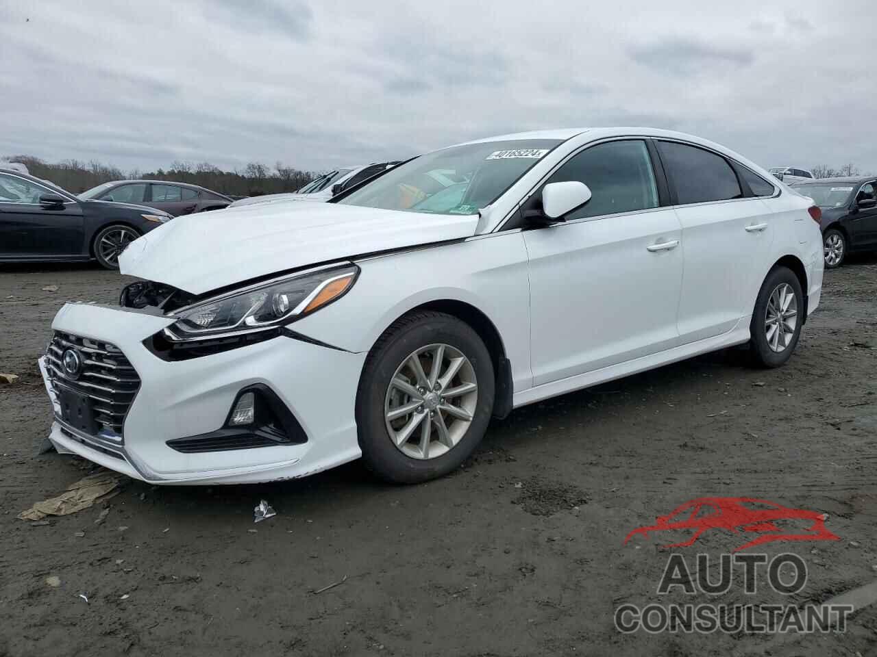 HYUNDAI SONATA 2018 - 5NPE24AF2JH694043