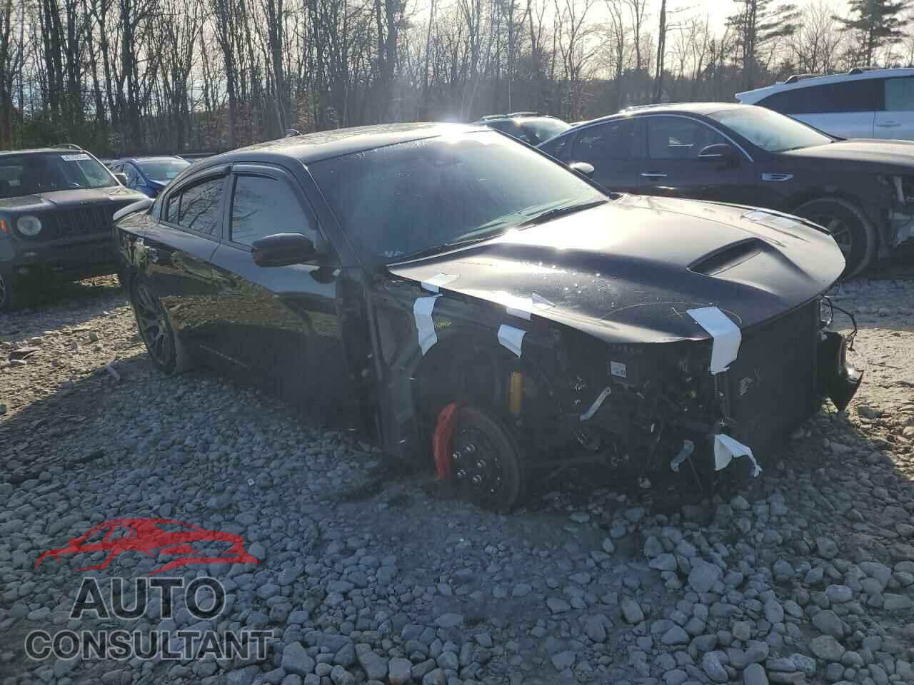 DODGE CHARGER 2016 - 2C3CDXEJ8GH205054