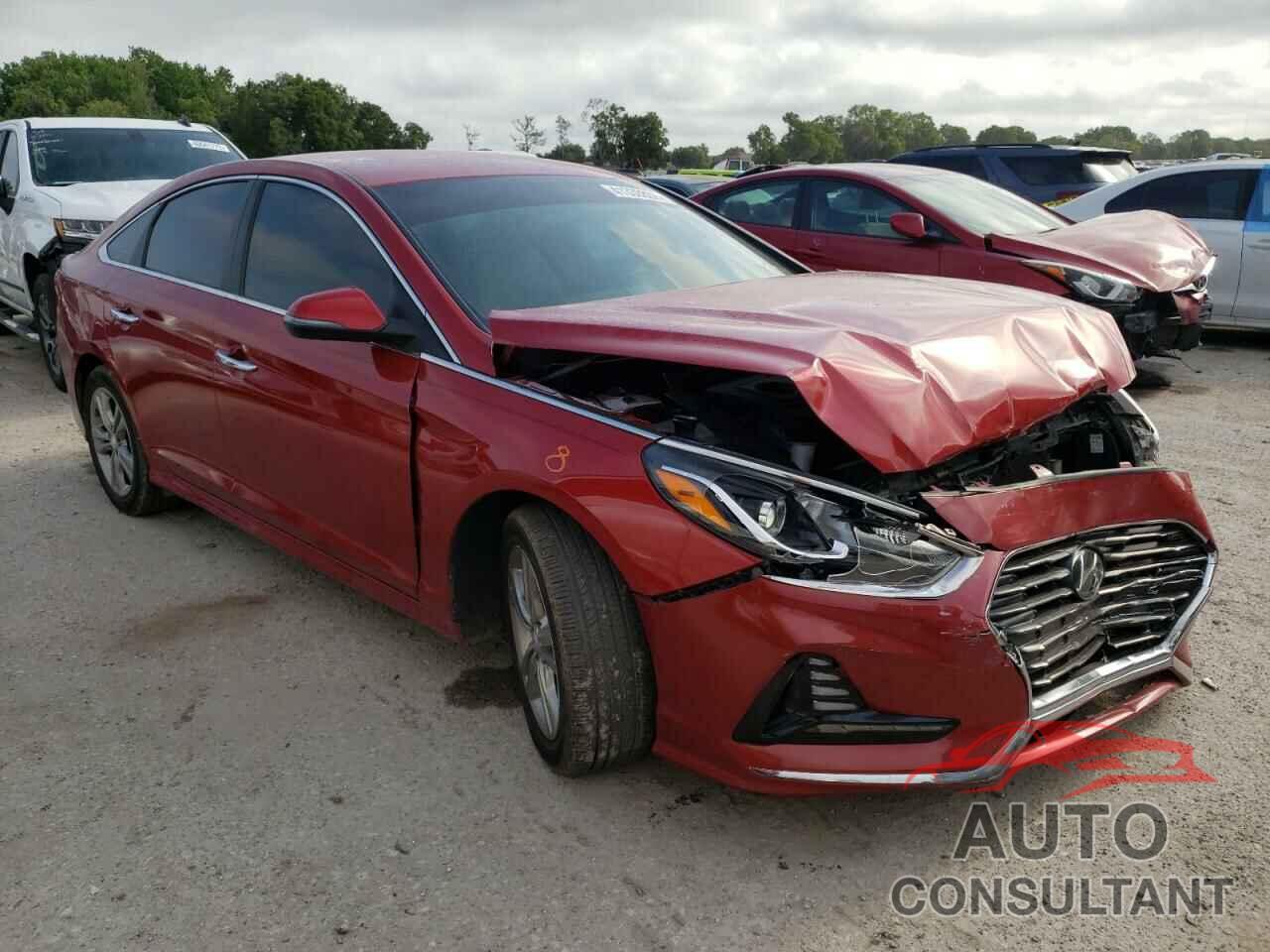 HYUNDAI SONATA 2018 - 5NPE34AF3JH656012