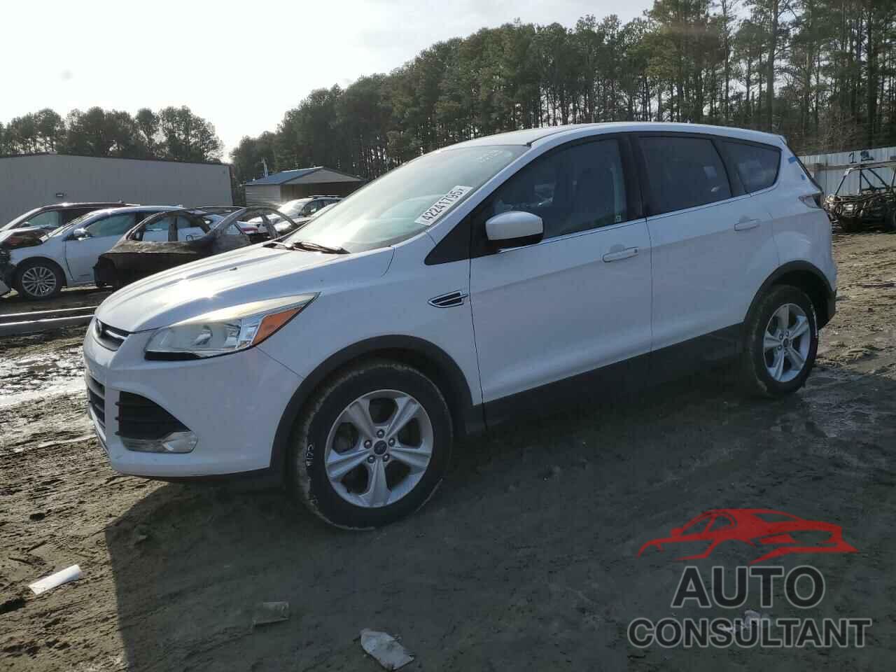 FORD ESCAPE 2014 - 1FMCU0G95EUC56166