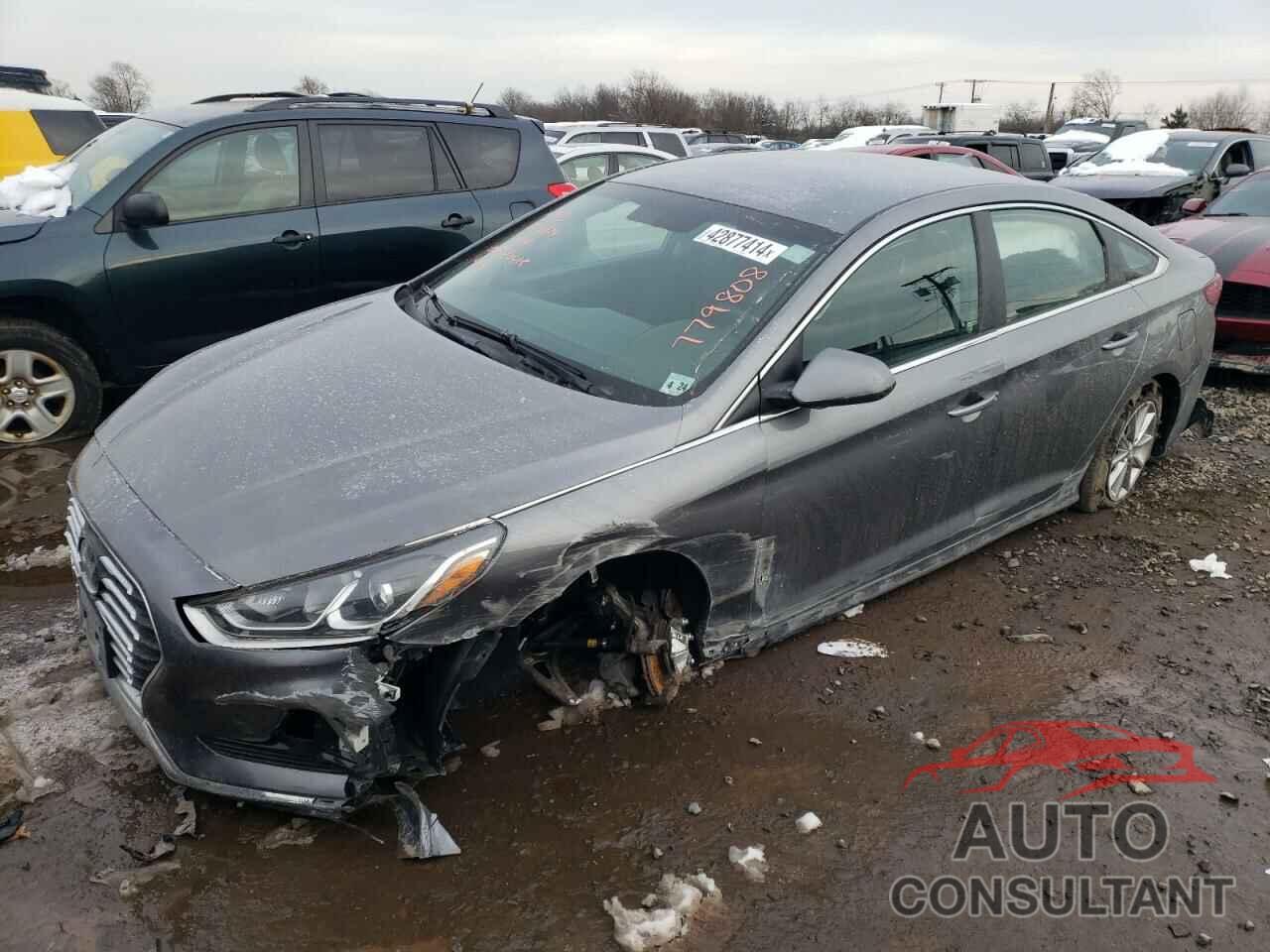 HYUNDAI SONATA 2019 - 5NPE24AF6KH779808