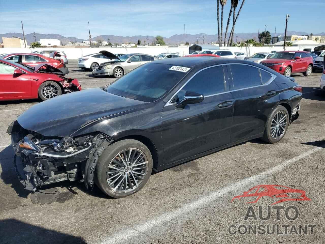 LEXUS ES300 2022 - 58ADA1C13NU024676