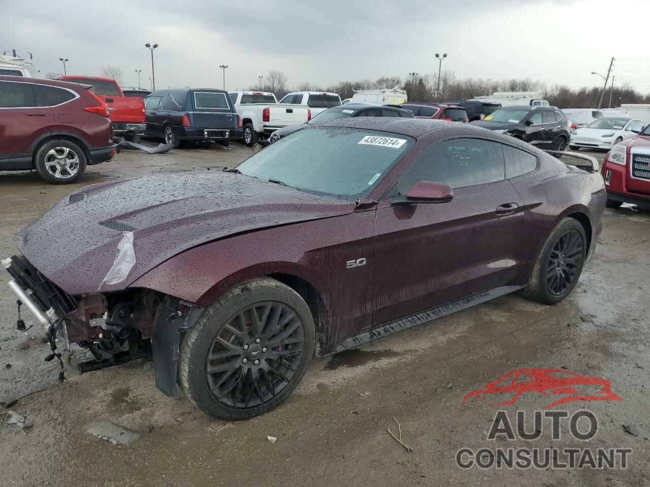 FORD MUSTANG 2018 - 1FA6P8CF3J5122012