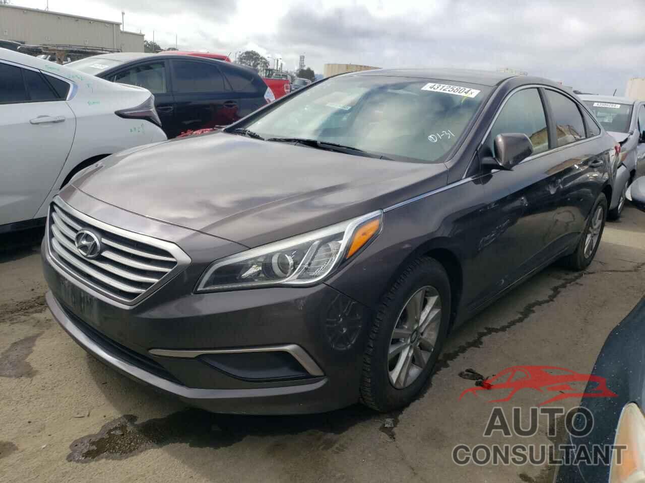 HYUNDAI SONATA 2017 - 5NPE24AF6HH462524