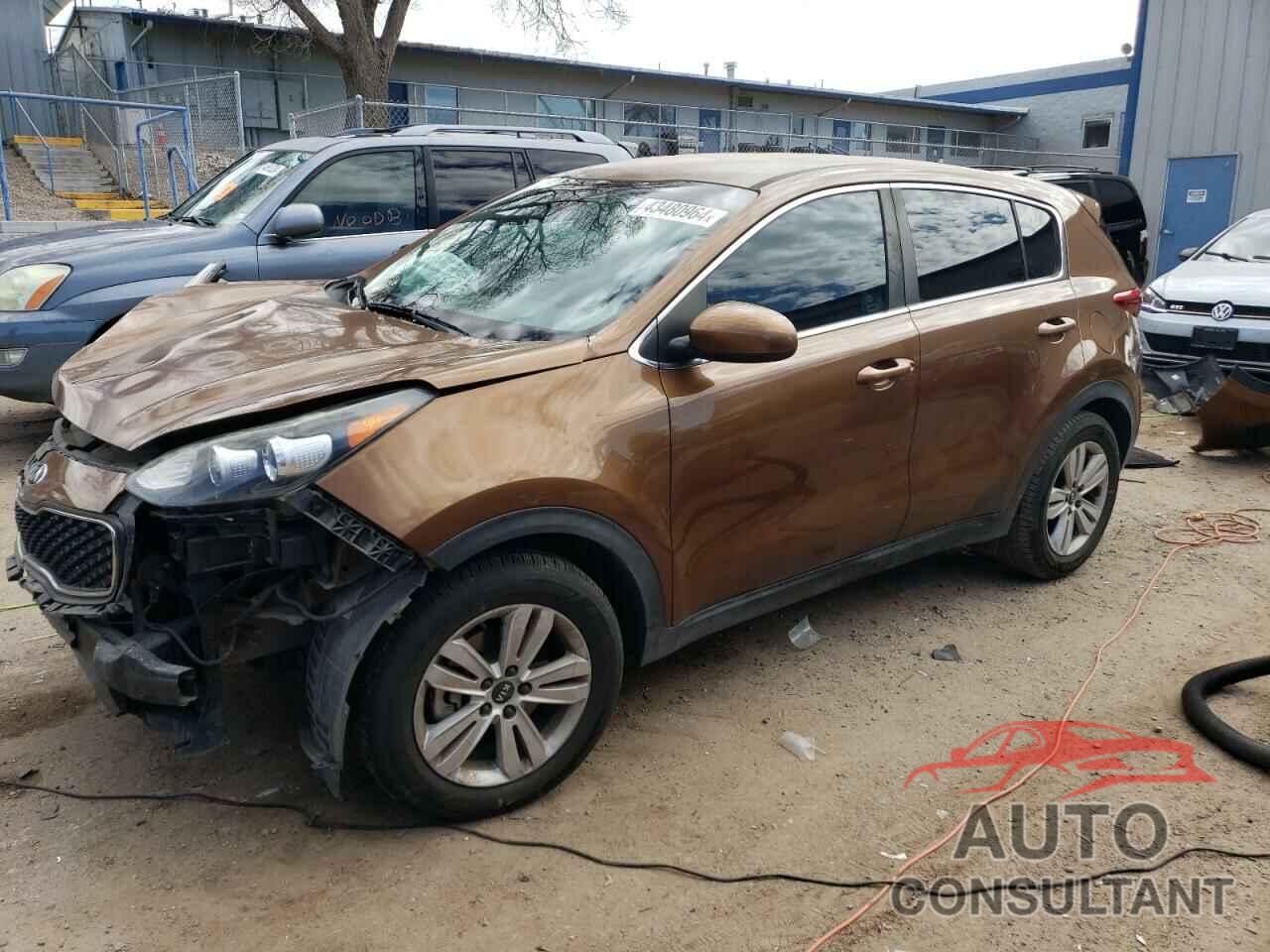 KIA SPORTAGE 2017 - KNDPM3AC5H7232755